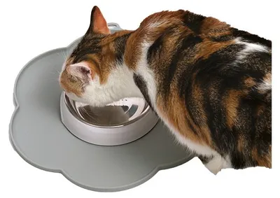 Productafbeelding van Cat It CA 2.0 Placemat Bloem | Grijs Duurzaam