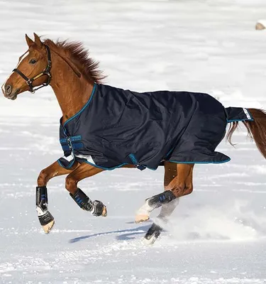 Produktbild von Horseware Ireland Outdoordecke 100g Amigo Bravo 12 T/O Weidedecke Navy/Turquoise, Aqua & Blue 160 (7'0)