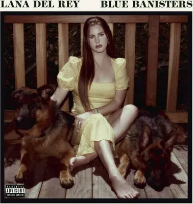 Produktbild von Lana Del Rey - Blue Banisters (2 LP)