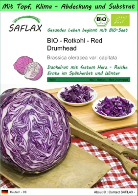 Produktbild von SAFLAX Garden to go - BIO - Rotkohl - Red Drumhead - Brassica oleracea var. capitata - 250 Samen - Mit Topf, Klima - Deckel und Anzuchtsubstrat
