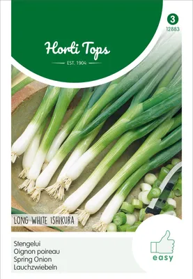 Produktbild von Lauchzwiebeln Long White Ishikura | Lauchsamen von Hortitops