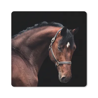 Produktbild von MuchoWow® Mauspad Mousepad Pferd - Leicht - Halfter 20x20 cm - Mousepads - Maus Mat - Pad - Mausunterlage - Desk Mat - Bureauartikeln