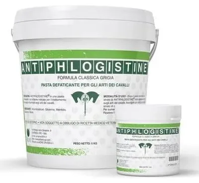 Immagine prodotto di Antiphlogistine 1000 G