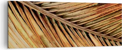 Produktbild von Bild auf Leinwand - Leinwandbild - Einteilig - Orange Blatt Tropisch - 140x50cm - Wand Bild - Wanddeko - Wandbilder - Leinwanddruck - Bilder - Wanddekoration - Leinwand bilder - AB140x50-4876