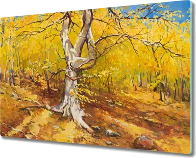 Produktbild von Coloray Hackbrett Herdabdeckplatte 80x52 cm Küchenbrett Kochplattenabdeckung Schneidebrett - Blätter Wald Herbst