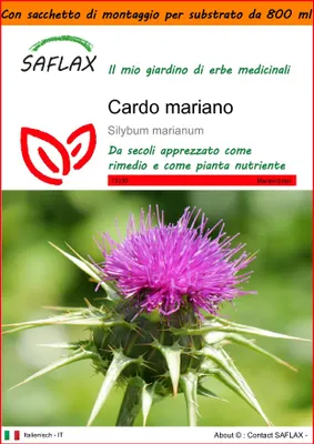 Immagine prodotto di SAFLAX Garden in the bag - Cardo mariano - 75 semi - Silybum