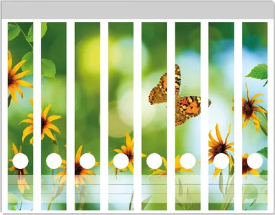 Produktbild von Wallario Ordnerrücken Sticker, selbstklebend für schmale Ordner, 8 Stück, Motiv Blumen mit Schmetterling