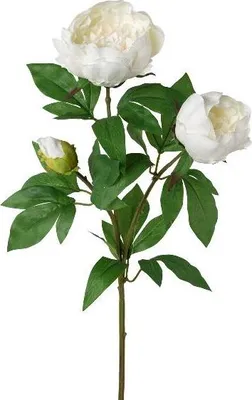 Produktbild von artplants.de Künstlicher Zweig Pfingstrose SLORVE, weiß, 70cm - Deko Pfingstrosenzweig