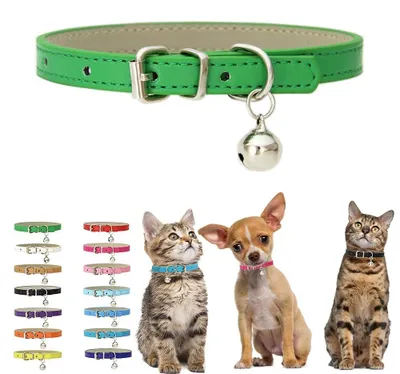 Produktbild von Grünes Halsband für Hunde und Katzen mit Glöckchen, verstellbar, aus Kunstleder, für kleine Haustiere
