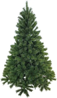 Produktbild von Weihnachtsbaum Excellent Trees® Elverum Frosted Premium - ⌀125cm - ↕180cm