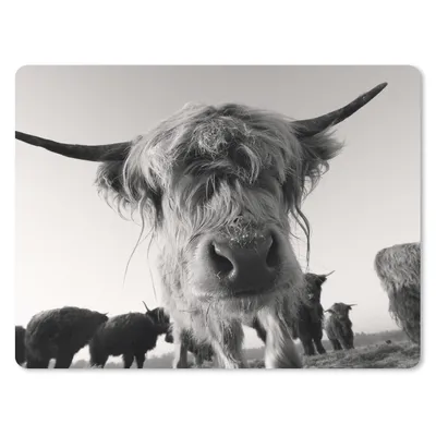 Produktbild von MuchoWow® Mauspad Mousepad Schottischer Highlander - Schwarz - Weiß - Tiere 40x30 cm - Mousepads - Maus Mat - Pad - Mausunterlage - Anti Rutsch