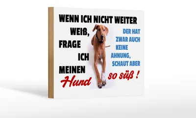 Produktbild von Holzschild Spruch 18x12cm wenn ich nicht weiter weiß Hund