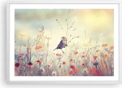 Produktbild von Gerahmtes Poster - Weißer Rahmen - Vogel Wildschwein Wiese - 70x50 cm - Wand Bild - Wanddeko - Wandbilder - Kunstposter - Wandposter - Bilderrahmen - Bilder - Kunstdruck - Wandbild - P2WAA70x50-4279