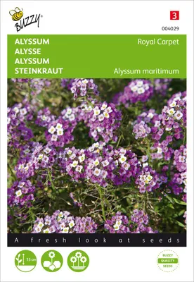Produktbild von Steinkraut Königsteppich | Steinkrautsamen von Buzzy Seeds