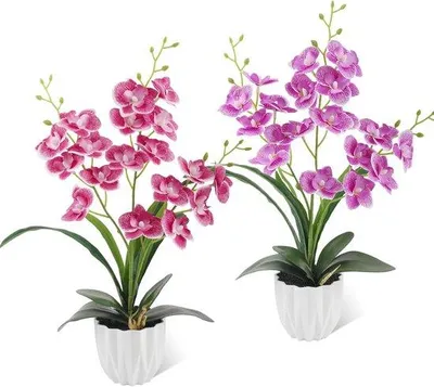 Produktbild von LEIMEND 2 Stück künstliche Orchideen in Töpfen, Orchideen, künstlich wie echt, Kunstblumen in Töpfen, rosa, lila, Orchidee