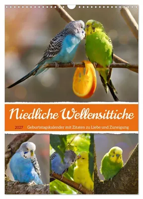Produktbild von Niedliche Wellensittiche (Wandkalender 2027 DIN A3 hoch), CALVENDO Monatskalender