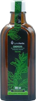 Produktbild von Cordyceps Tinktur 1: 5 (100 ml)