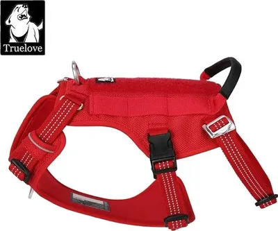 Zdjęcie produktu dla Szelki bezpieczeństwa dla zwierząt, odblaskowe, czerwona wstążka, XL - klatka piersiowa 81-107 cm