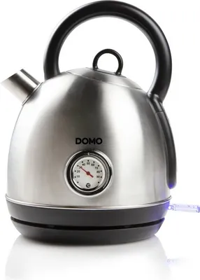 A silver electric kettle with a black handle and base, featuring a built-in thermometer.