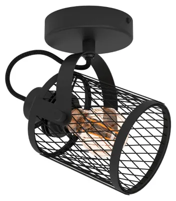 Productafbeelding van Plafondlamp Dellow 1 zwart enkel
