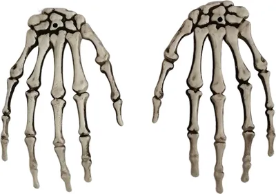 Produktbild von Halloween-Skeletthände, realistisches Plastikskelett, menschliche Hände, Modell für Halloween-Partydekoration