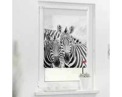 Obrázek produktu pro Roleta na okno Lichtblick bez vrtání Zebra 100x150 cm včetně upínacích držáků