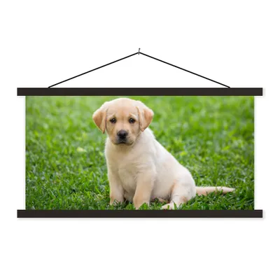 Produktbild von MuchoWow® Textilposter Welpe sitzt im Gras 150x75 cm mit schwarzem Rahmen - Posterleiste