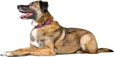 Obrázok produktu pre Halsung Sofia Alu-Strong, farba: malinová, veľkosť: M