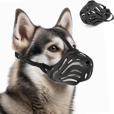 Produktbild von Nylon-Halsband für Hunde - Komfortabel und sicher - Anpassbare Größe