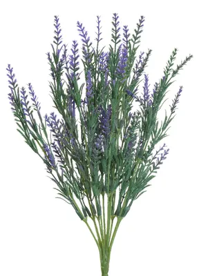 Produktbild von Kunstblumen Lavendel Zweig 43cm lila / violett 1 Stück sortiert