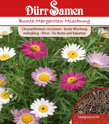 Produktbild von Margerite bunte Mischung | Margeritensamen von Dürr Samen