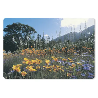 Produktbild von MuchoWow® Schreibtischunterlage Blumen - Natur - Farbe 60x40 cm - XXL Mauspad - Großes Mauspad