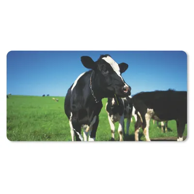 Produktbild von MuchoWow® Schreibtischunterlage Kuh - Gras - Tiere 80x40 cm - XXL Mauspad - Gaming Mauspad