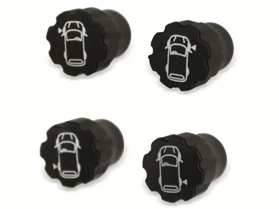 Image de Marqueur de pneus Capuchons de valve, contenu : 4 capuchons