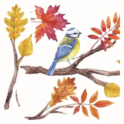 Produktbild von Herbstzweig-Aufkleber 31/31Cm