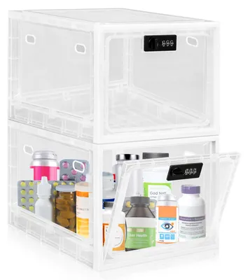 Afsluitbare Boxen, 2 Stück, transparent, 12,6 L, stapelbar