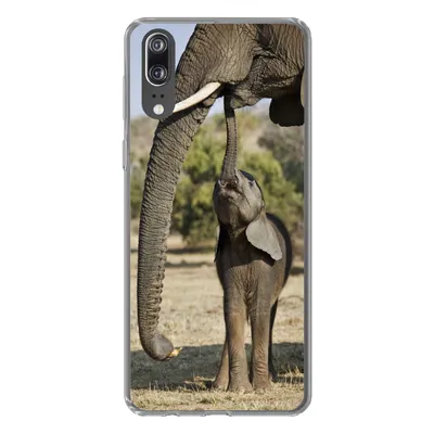Produktbild von MuchoWow® Handyhülle Schutzhülle Hülle für Huawei P20 Elefant - Tiere - Gras - Natur Silikon Softcase Handy Hülle - Hardcover