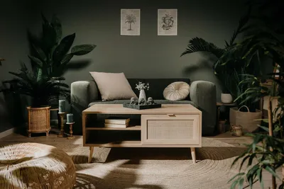 Produktbild von Couchtisch Wohnzimmertisch Kaffeetisch Sofatisch Holztisch Tisch "Kuta I"