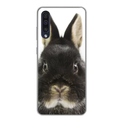 Produktbild von MuchoWow® Handyhülle Schutzhülle Hülle für Samsung Galaxy A30s Kaninchen - Haustiere - Fell Silikon Softcase Handy Hülle - Karteninhaber