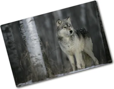 Produktbild von Tulup Glas Herdabdeckplatte - 80x52 cm - Glaskeramikkochfeld-Abdeckung Spritzschutz Glasabdeckplatte - Einteilig - Tiere - Grauer Wolf - Grau