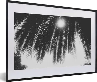 Produktbild von MuchoWow® Gerahmtes Poster Palmenblätter - Tropisch - Sonne - Palme 60x40 cm - Poster mit Schwarzem Bilderrahmen Wandposter Rahmen Foto Bilder - Schlafzimmer - Plakat in Rahmen - Drucken
