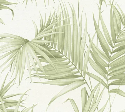 Produktbild von Michalsky Living Palmentapete Dream Again tropische Tapete Vliestapete grün creme weiß 10,05 m x 0,53 m