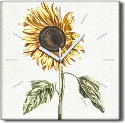 Produktbild von Coloray Hodiny Unikátní 30x30 cm  Tiché hodiny Pro obývací pokoj a kuchyň Nástěnné hodiny Plátno Černé ručičky hodin - Sázet květiny