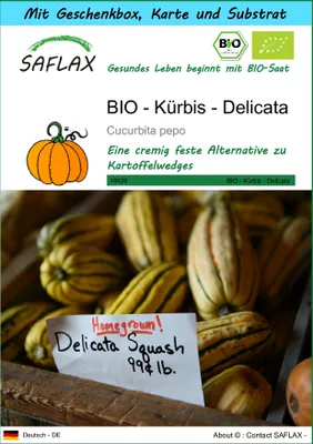 Produktbild von SAFLAX - Geschenk Set - BIO - Kürbis - Delicata - 6 Samen - Mit Geschenk- / Versandbox, Versandaufkleber, Geschenkkarte und Anzuchtsubstrat - Cucurbita pepo