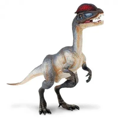Obrázek produktu pro Safari Ltd Dilophosaurus černý / hnědý, jedna velikost