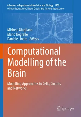 Produktbild von Computational Modelling of the Brain