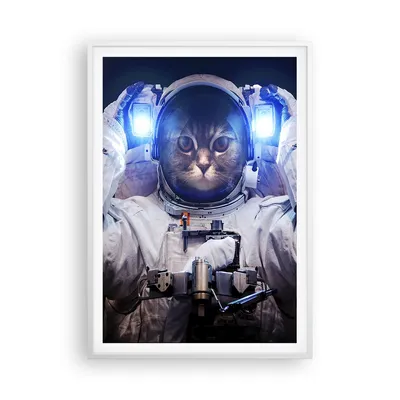 Produktbild von Gerahmtes Poster - Weißer Rahmen - Kosmonaut Katze - 70x100 cm - Wand Bild - Wanddeko - Wandbilder - Kunstposter - Wandposter - Bilderrahmen - Bilder - Kunstdruck - Wandbild - P2WPA70x100-3734