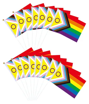 Produktbild von 30 Mini-Regenbogen-Pride-Flaggen, 14 x 21 cm, zum Festhalten, ideal für Feiern und Paraden