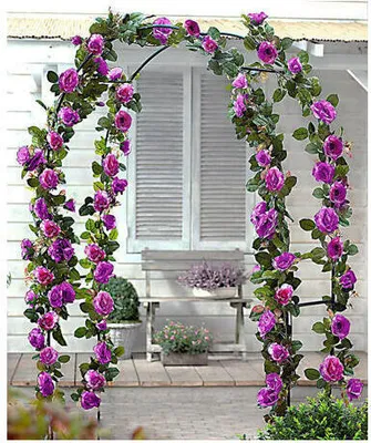 Immagine prodotto di supporto per piante rampicanti 240x140x37cm metallo.ZE