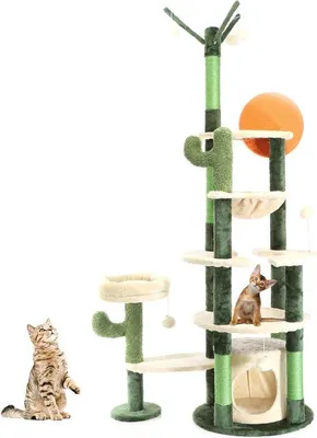 Produktbild von Famanu Kratzbaum mit Katzenhaus und Spielmöglichkeiten - Cactusgrün